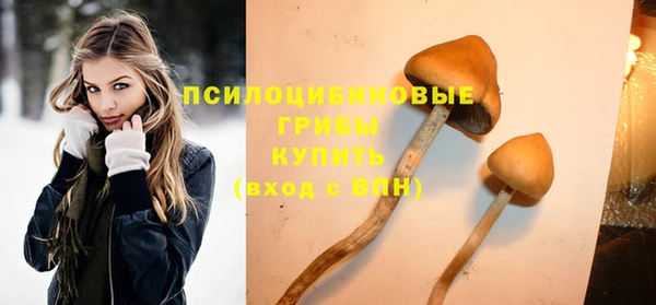 Альфа ПВП Аркадак