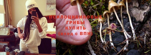 Альфа ПВП Аркадак