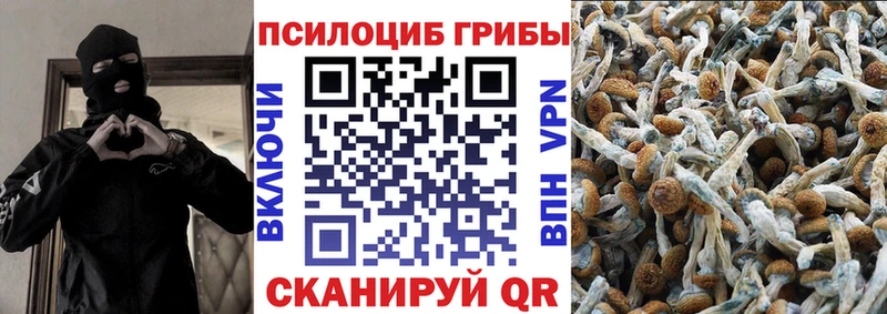 Псилоцибиновые грибы ЛСД  Волгоград 
